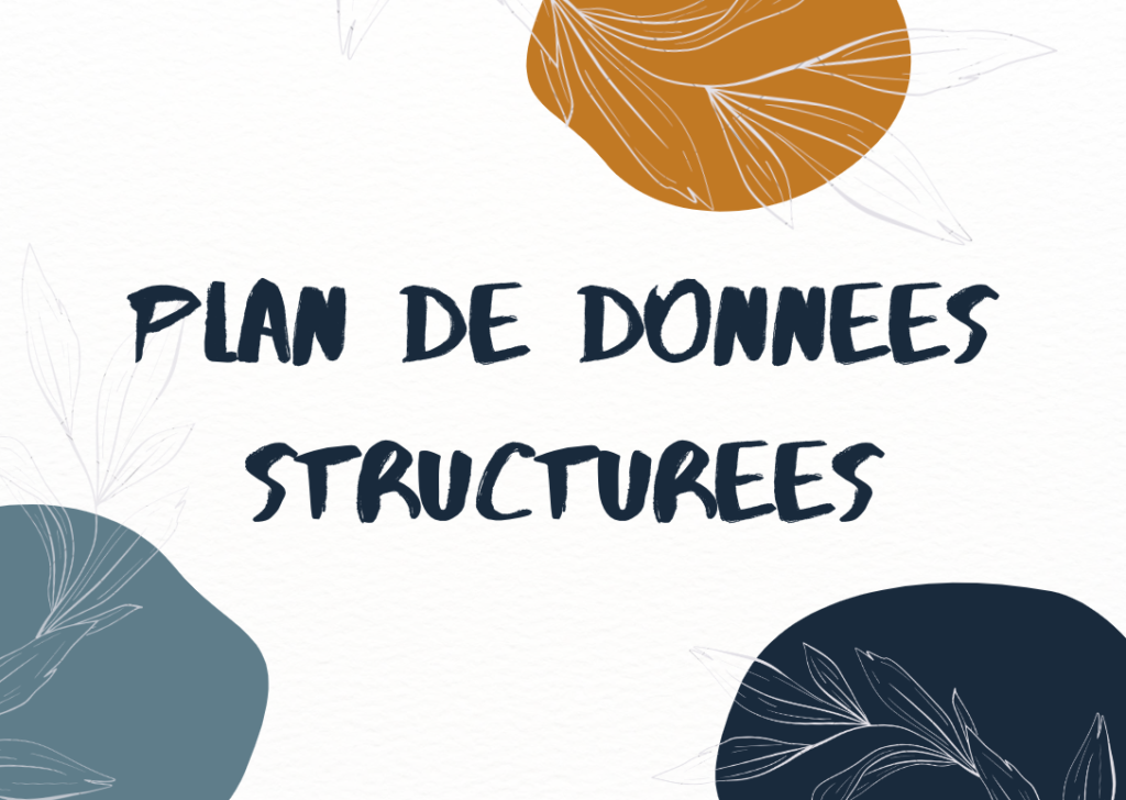 Plan de données structurées - SEO technique