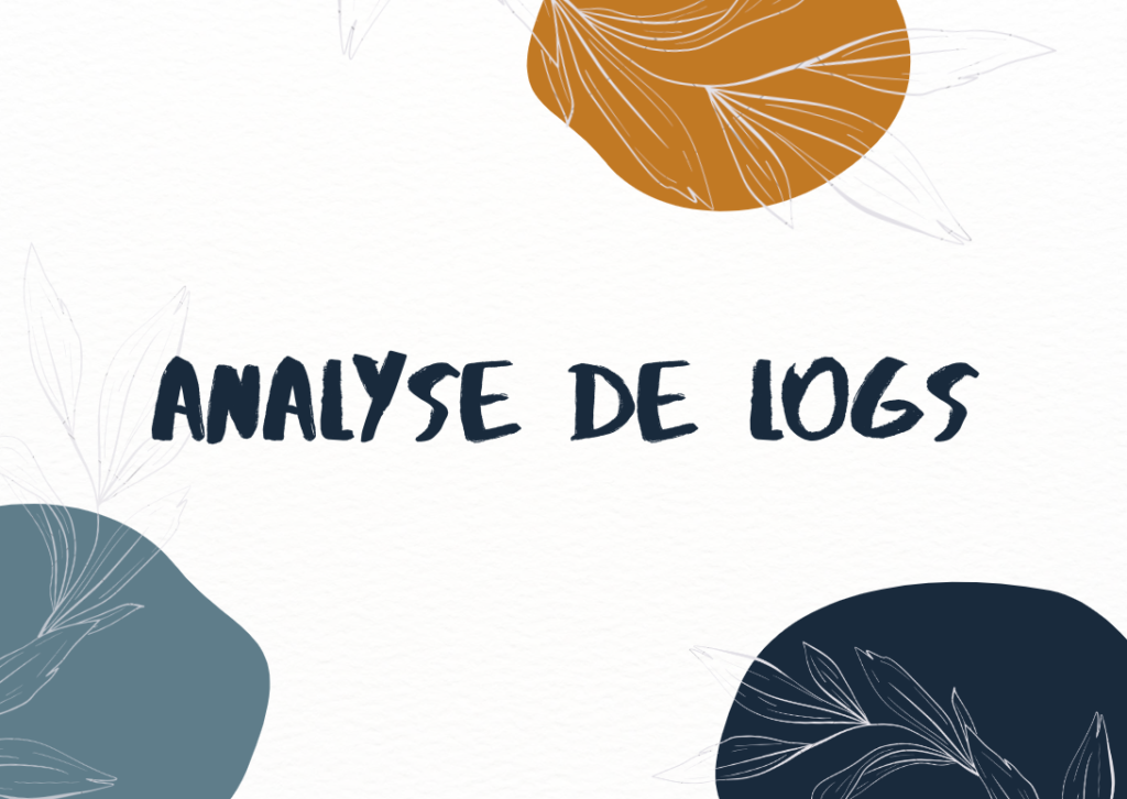 Analyse de logs - SEO technique