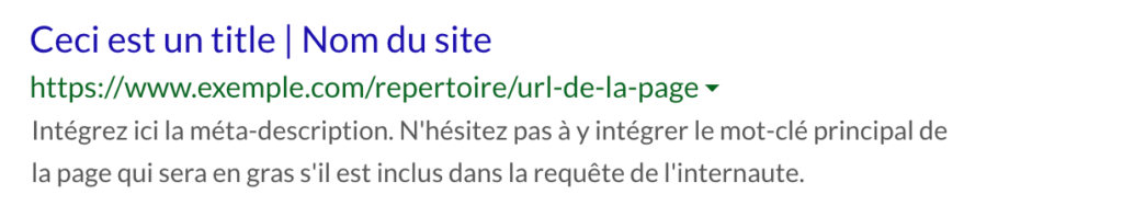 Exemple d'un title et d'une méta-description