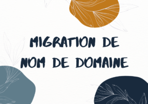 Migration de nom de domaine : Changer de nom de domaine sans perdre son référencement - Prestations SEO